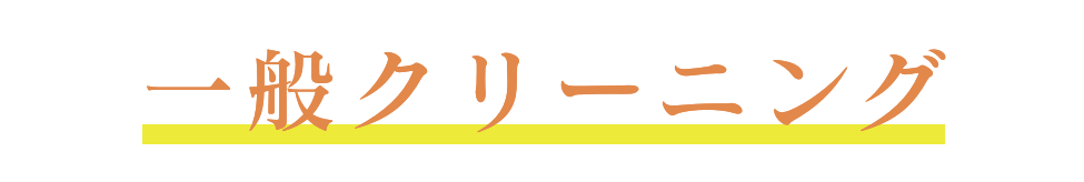一般クリーニング